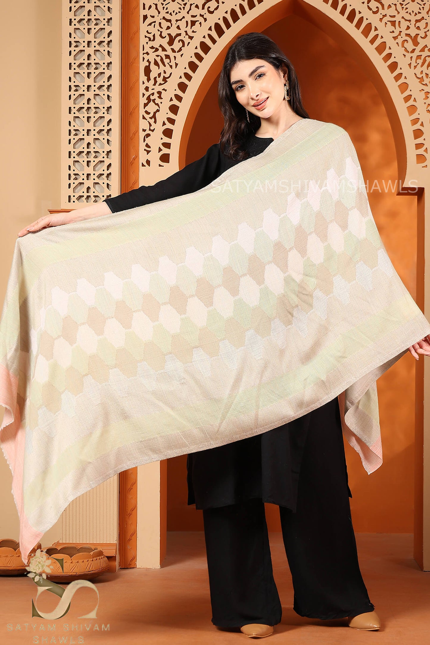 EKAT-E-NOOR PASHMINA EXTRA FINE WOOL STOLE ,WARM,SOFT & LIGHT WEIGHT